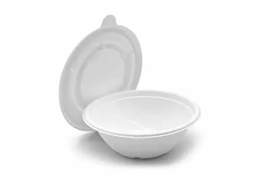 Grüne Innovation: Die Vielseitigkeit von Bagasse-Verpackungs material Grüne Innovation: Die Vielseitigkeit von Bagasse-Verpackungs material