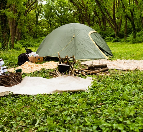Kompost ierbares Geschirr in Camping