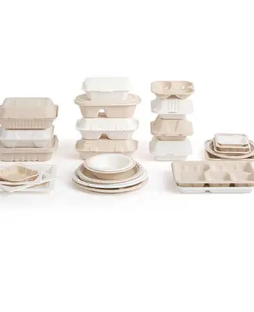 Bagasse Geschirr