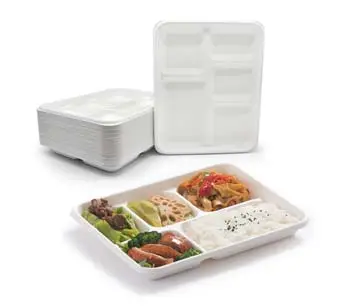 5 Stück Einweg-Mittagessen Tablett Zuckerrohr Bagasse Faser Nachhaltige tragbare Öl Proof Großhandel zu gehen