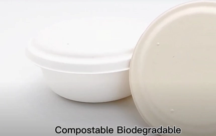 Bagasse Einweg biologisch abbaubare runde Schüssel