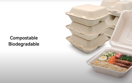 Biologisch abbaubarer Bagasse Fibre Clam shell Container