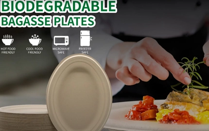 Biologisch abbaubare Pflanzen faser runde Platte