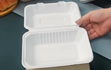 Kompost ierbares Geschirr Wasserdicht Test