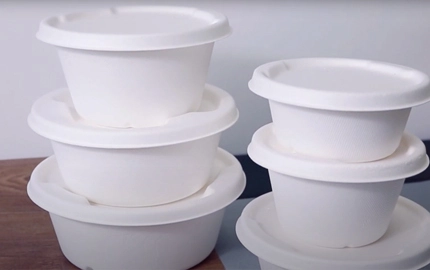 Zuckerrohr Bagasse biologisch abbaubare Einweg-Schüssel