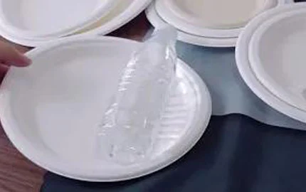 Nachhaltige biologisch abbaubare Bagasse Pflanzen basierte Einweg-Runde Platte