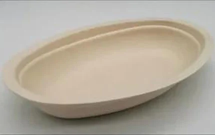 Kompost ierbare Zuckerrohr-Bagasse-Faser-Einweg schale