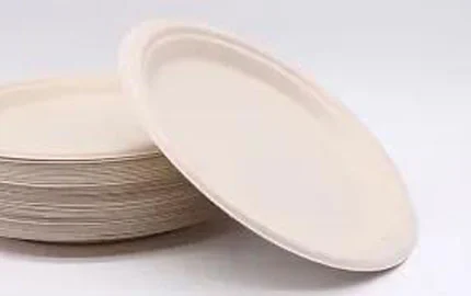 Kompost able Einweg-Bagasse-Faser ovale Platte