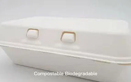 Bagasse Einweg biologisch abbaubar 900ml Clam shell Box LZ-0188