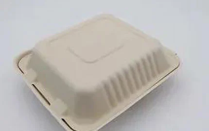 Nachhaltige biologisch abbaubare pflanzliche Einweg 8 Zoll 3 Comp Clam shell Box