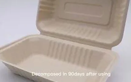 Nachhaltige biologisch abbaubare Bagasse-Faser auf pflanzlicher Basis Einweg-Clamshell-Box 900ml