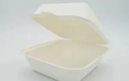 Bagasse Einweg biologisch abbaubar 6 Zoll Hamburger Clam shell Box