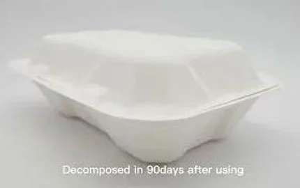 Zuckerrohr Bagasse Einweg biologisch abbaubar 850ml Clam shell Box