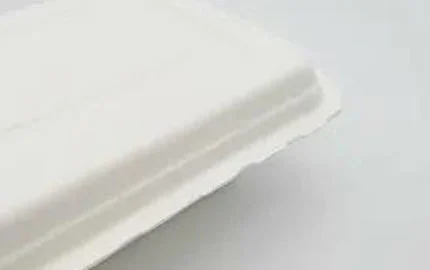 Nachhaltige biologisch abbaubare pflanzliche Einweg-Clamshell-Box 450ml
