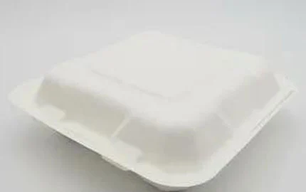 8-Zoll-Clamshell-Box Umwelt freundliche Faser Zellstoff zum Mitnehmen