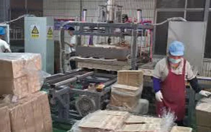 Lamini maschine Produzieren des Video 1