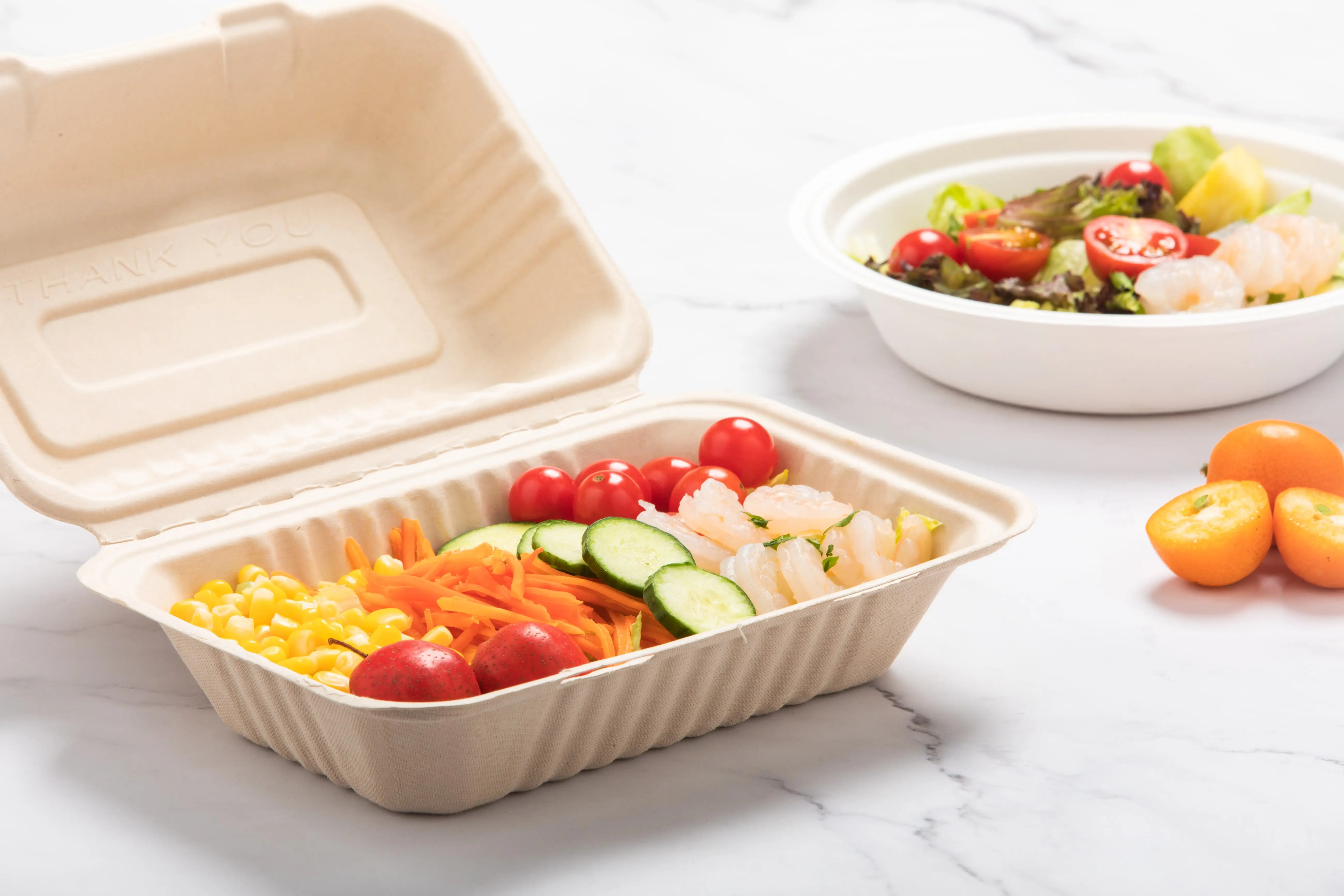 Die nachhaltige Lösung: Biologisch abbaubare Take-Out-Boxen, die den Weg für eine grünere Zukunft ermöglichen Die nachhaltige Lösung: Biologisch abbaubare Take-Out-Boxen, die den Weg für eine grünere Zukunft ermöglichen