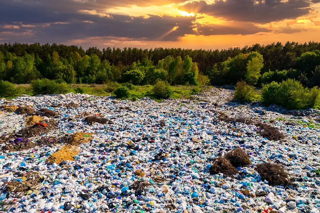 Stellung für die Umwelt einnehmen: Nein zu Plastik sagen und Nachhaltig keit umarmen Stellung für die Umwelt einnehmen: Nein zu Plastik sagen und Nachhaltig keit umarmen
